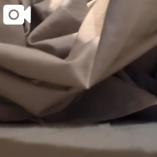 (盛)小森理香のブログ写真