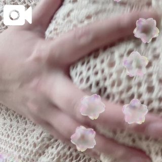 (北)青柳諒のブログ写真