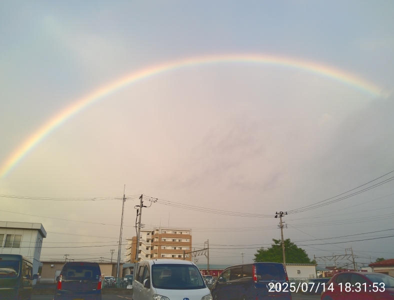 すずか嬢のブログ写真