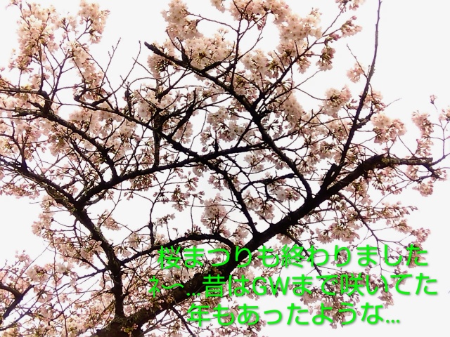 きょうこ【妖艶妻】のブログ写真