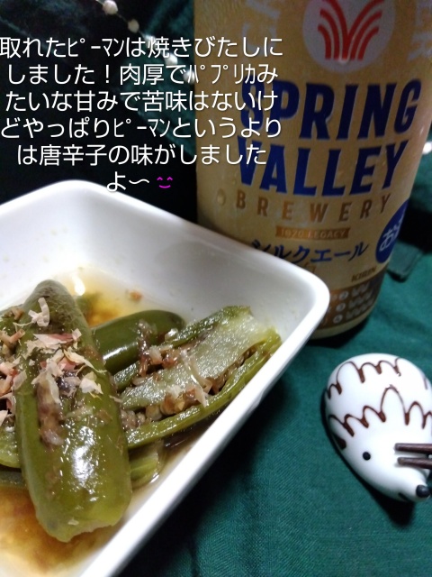 きょうこ【妖艶妻】のブログ写真