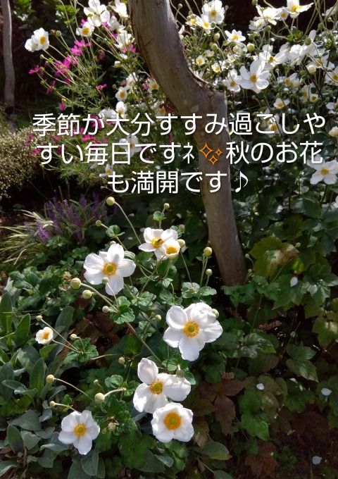 きょうこ【妖艶妻】のブログ写真