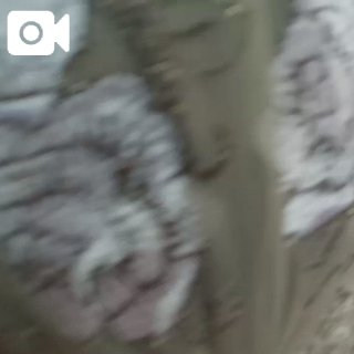 (盛)高山穂香のブログ写真