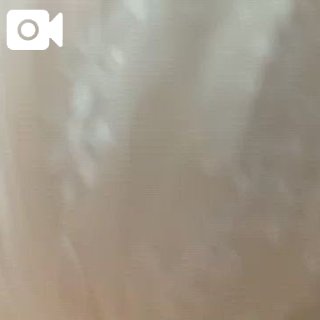 高山穂香のブログ写真