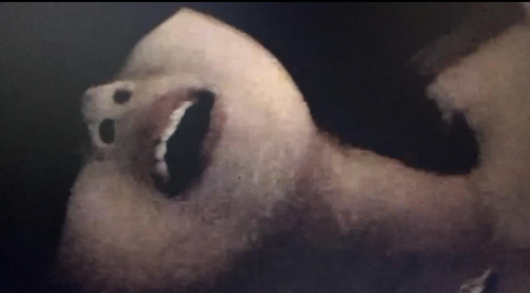 金城郁子嬢AFOKのブログ写真