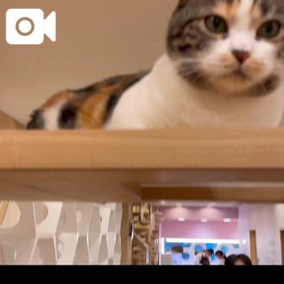 サイカ(盛岡)のブログ写真