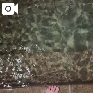 サイカ(盛岡)のブログ写真