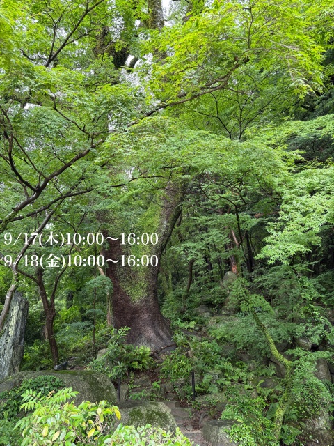 Ｓ嬢・篠原マナのブログ写真