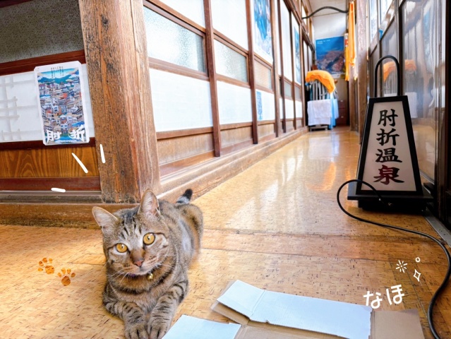 なほのブログ写真