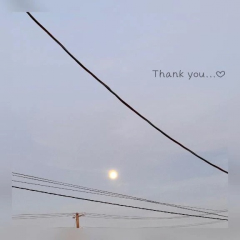 ナミ【HAREMコース】のブログ写真