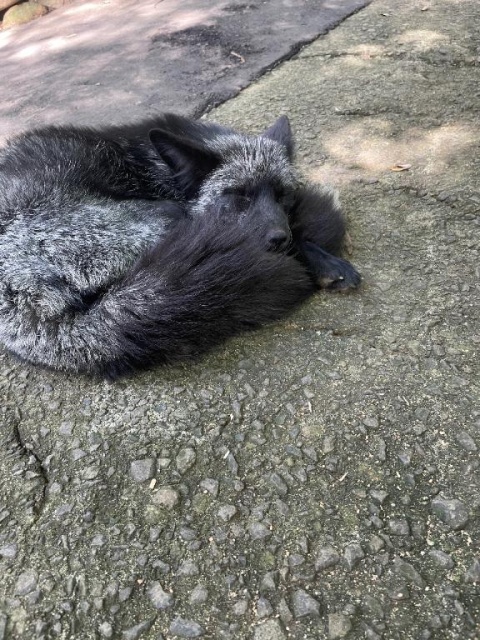 ノノ(北上)のブログ写真