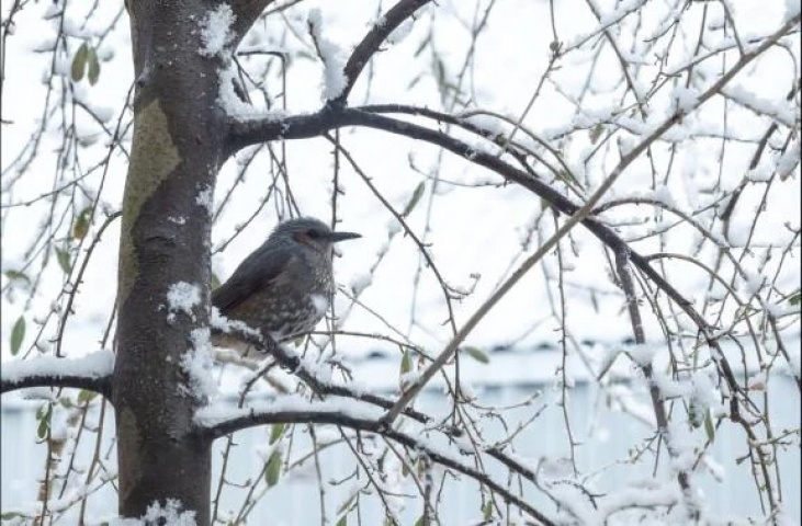 愛海-あいみ（盛）のブログ写真