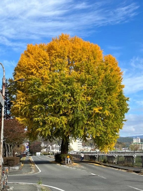 愛海-あいみ（盛）のブログ写真