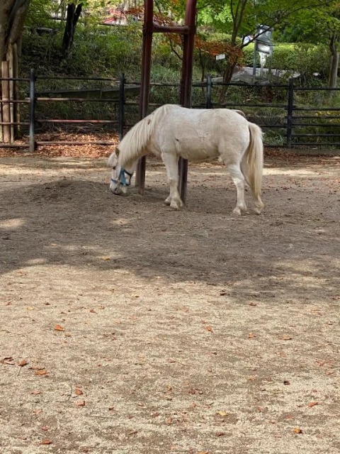 愛海-あいみ（盛）のブログ写真