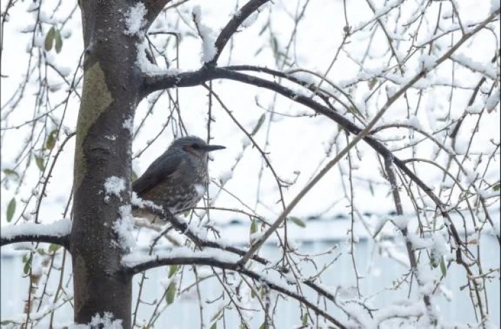 愛海-あいみ（盛）のブログ写真