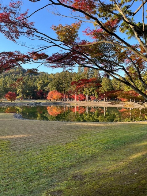 夏川あこのブログ写真