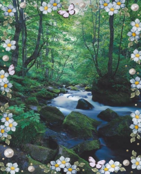 夏川あこのブログ写真
