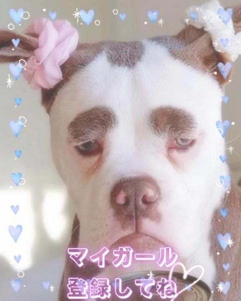 夏川あこのブログ写真