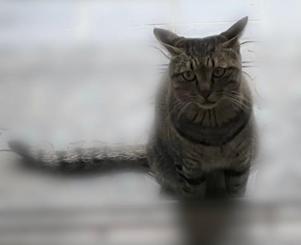 島田ゆうりのブログ写真