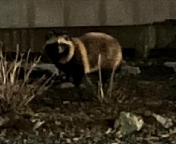 ユウリ(盛岡)のブログ写真