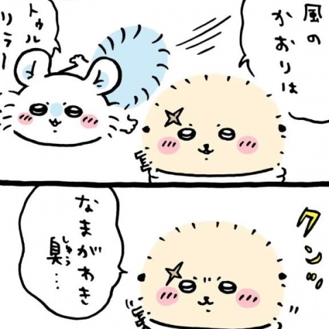 (北)森嶋京香のブログ写真