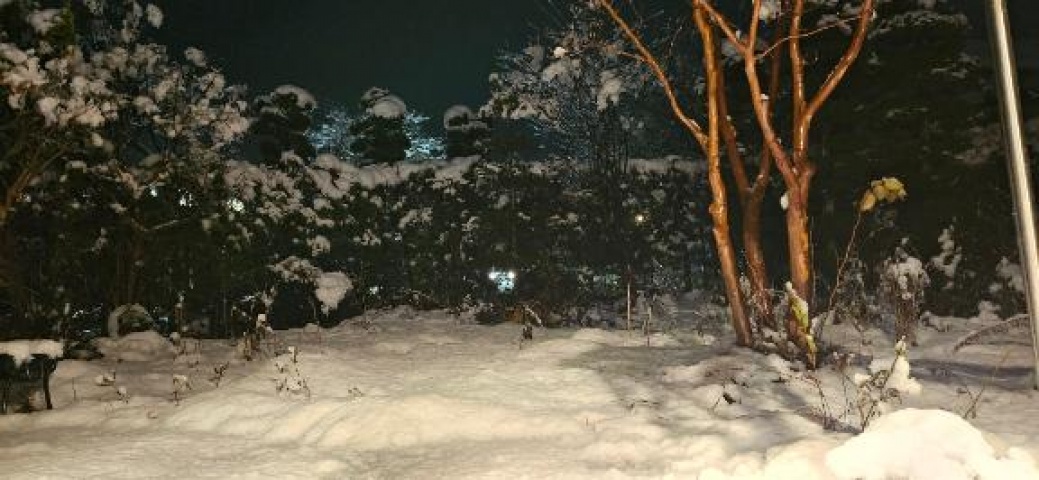 (北)森嶋京香のブログ写真