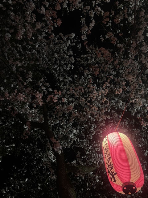 業界初リサ【HAREMのブログ写真