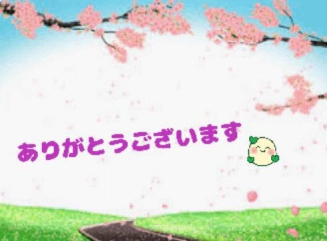 れいなのブログ写真