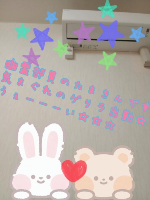 タマキのブログ写真