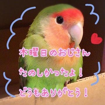(極)鬼頭たまきのブログ写真