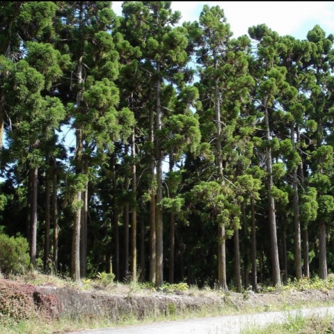 そのみ(気仙沼)(即OKのブログ写真