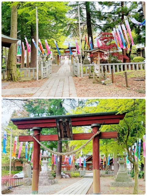 ノア【HAREMコのブログ写真