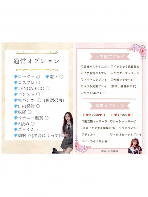 ノア【HAREMコのブログ写真
