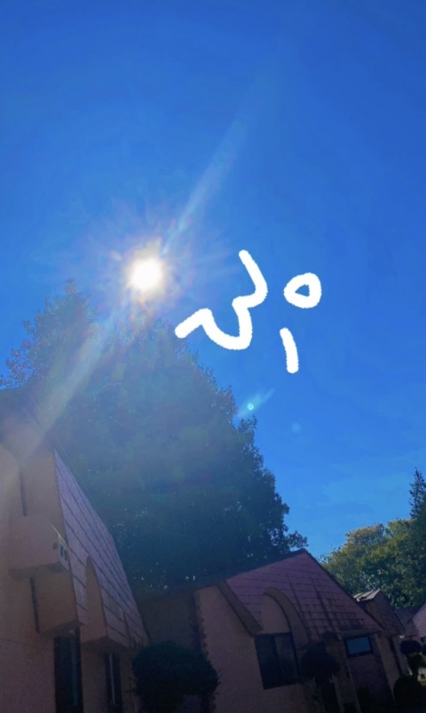 レミ【HAREMコース】のブログ写真
