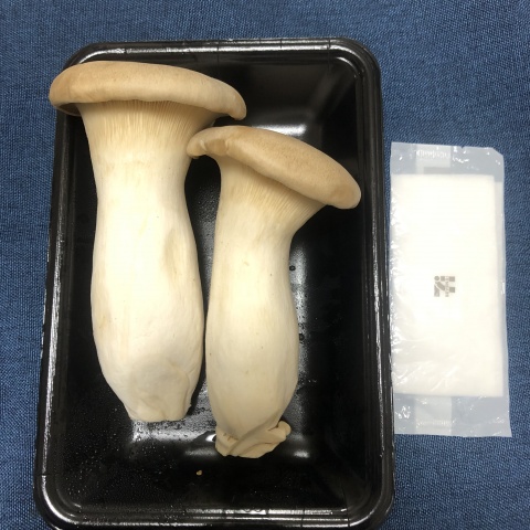 めい【Sコース】のブログ写真