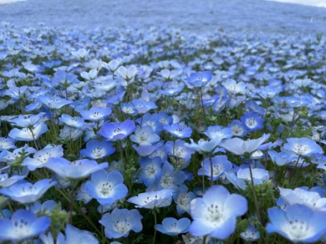 (北)菅谷ちひろのブログ写真