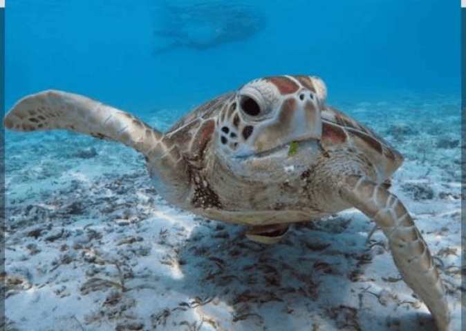 (北)菅谷ちひろのブログ写真