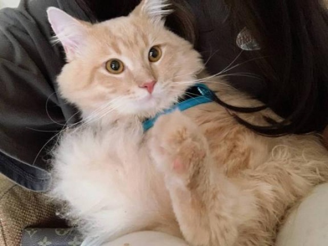 (北)菅谷ちひろのブログ写真