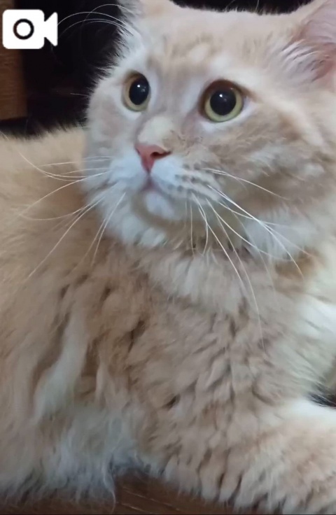 (北)菅谷ちひろのブログ写真