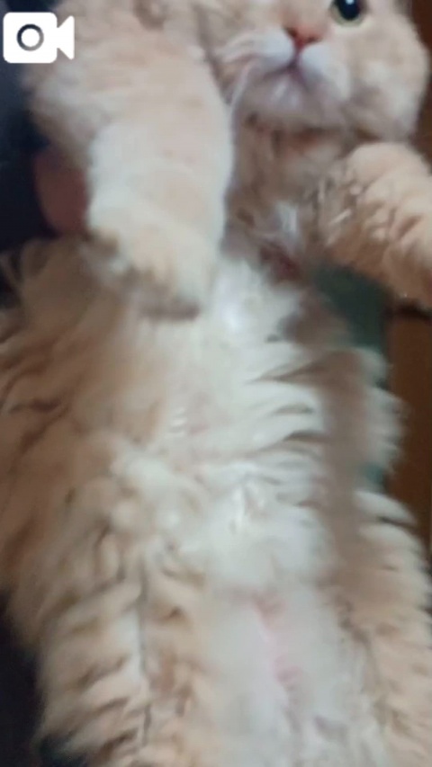 (北)菅谷ちひろのブログ写真