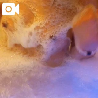 (北)菅谷ちひろのブログ写真