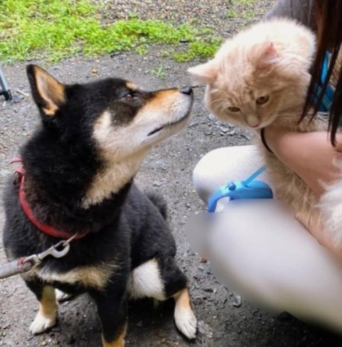 (北)菅谷ちひろのブログ写真