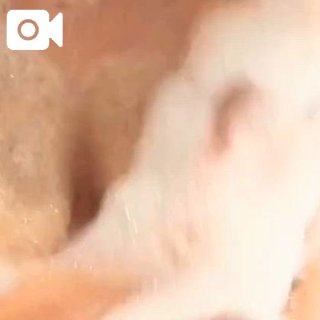菅谷ちひろのブログ写真