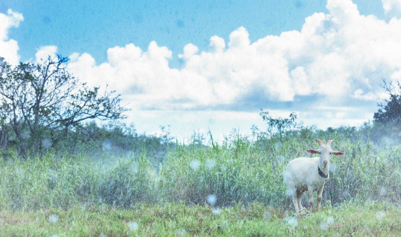 奈美香-ナミカ-のブログ写真