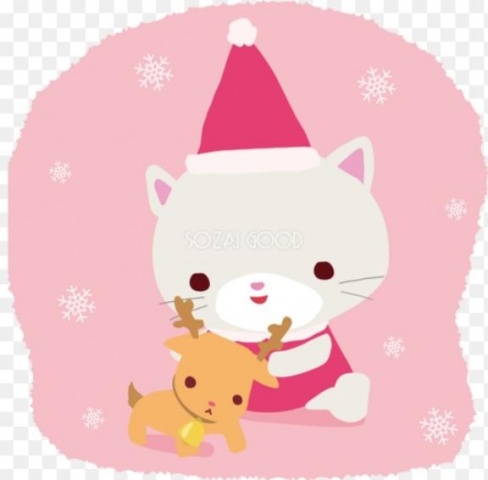 (北)蔵並ひなみのブログ写真