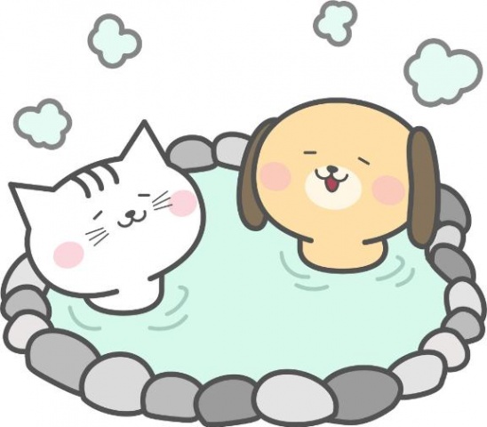 ユキ(盛岡)のブログ写真