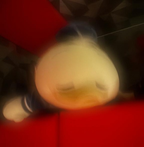 アズのブログ写真