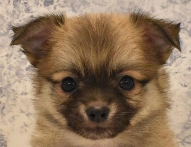 りおのブログ写真