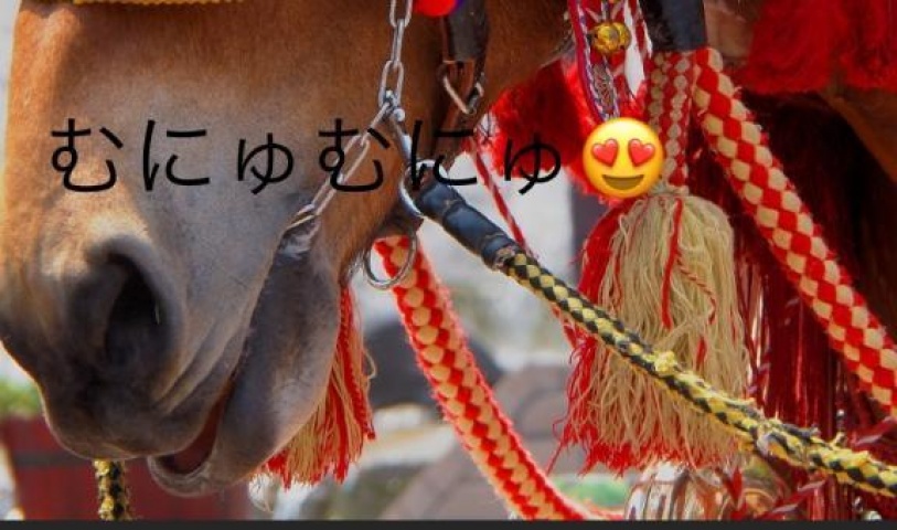 りおのブログ写真