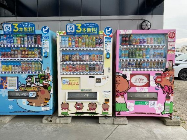 りおのブログ写真